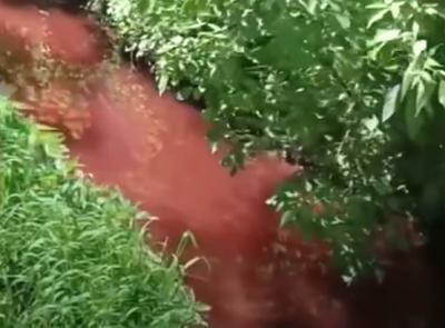 Вода в ручье Быстрец в Рязани стала красной